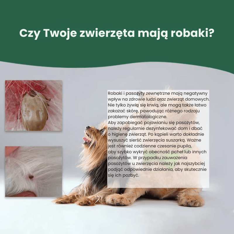 TickClean Pro - Lasso do usuwania kleszczy